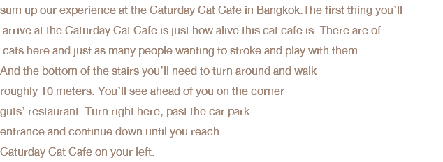 sum up our experience at the Caturday Cat Cafe in Bangkok.The first thing you’ll arrive at the Caturday Cat Cafe is just how alive this cat cafe is. There are of cats here and just as many people wanting to stroke and play with them. And the bottom of the stairs you’ll need to turn around and walk roughly 10 meters. You’ll see ahead of you on the corner guts’ restaurant. Turn right here, past the car park entrance and continue down until you reach Caturday Cat Cafe on your left.