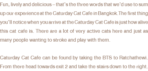 Fun, lively and delicious – that’s the three words that we’d use to sum up our experience at the Caturday Cat Cafe in Bangkok.The first thing you’ll notice when you arrive at the Caturday Cat Cafe is just how alive this cat cafe is. There are a lot of very active cats here and just as many people wanting to stroke and play with them. Caturday Cat Cafe can be found by taking the BTS to Ratchathewi. From there head towards exit 2 and take the stairs down to the right. 